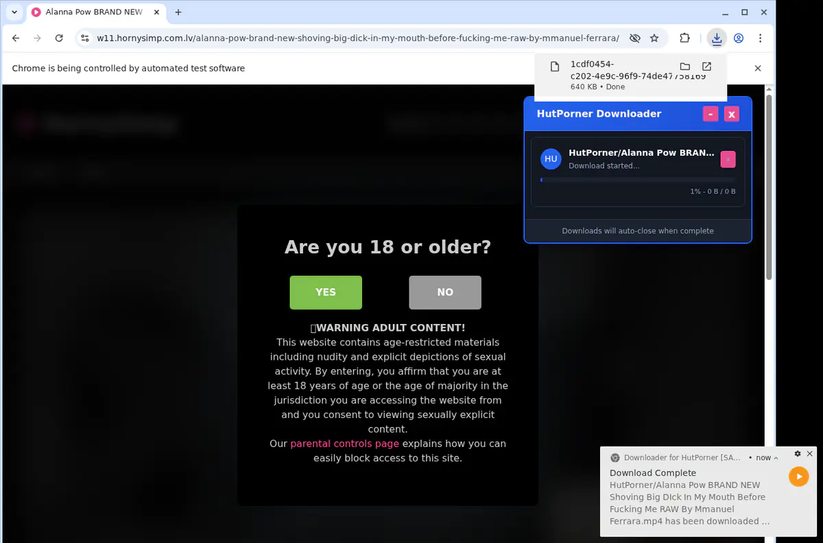 Hutporner Video Downloader browser extension screenshot 2