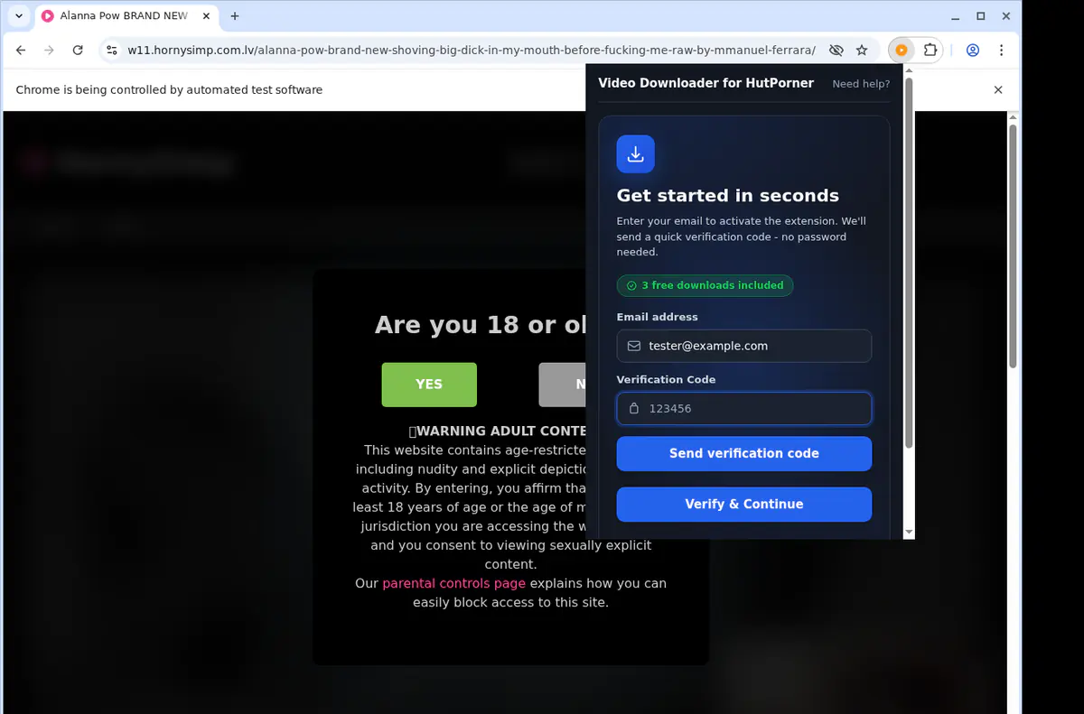 Hutporner Video Downloader browser extension screenshot 4