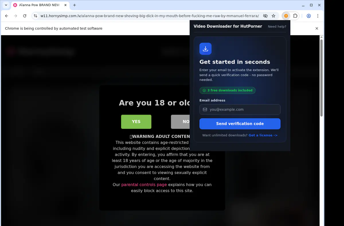 Hutporner Video Downloader browser extension screenshot 5